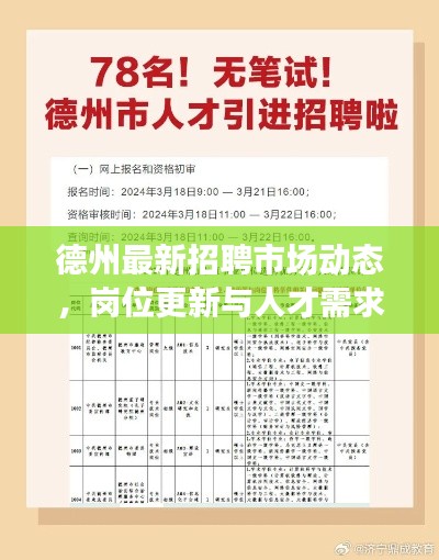德州最新招聘市场动态，岗位更新与人才需求一览