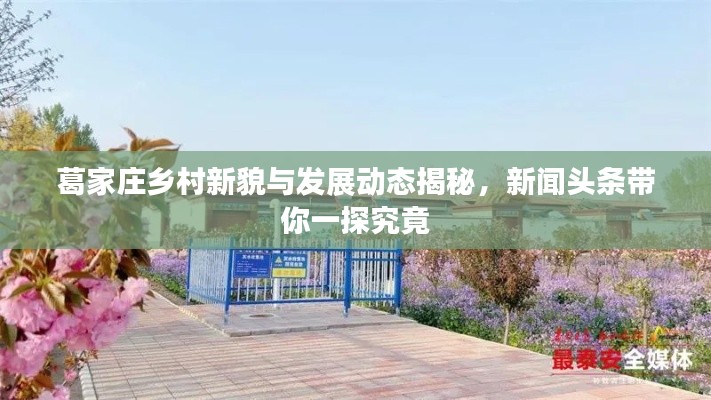 葛家庄乡村新貌与发展动态揭秘，新闻头条带你一探究竟