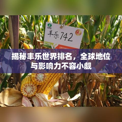揭秘丰乐世界排名，全球地位与影响力不容小觑