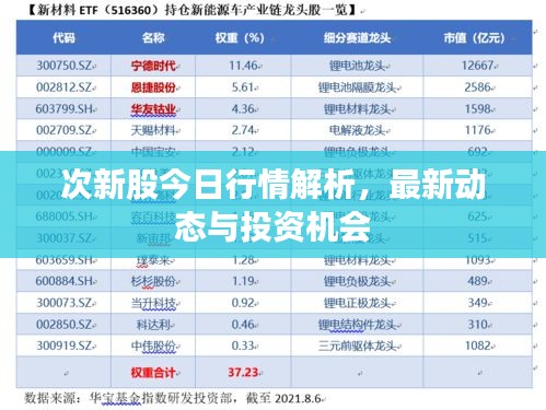 次新股今日行情解析，最新动态与投资机会