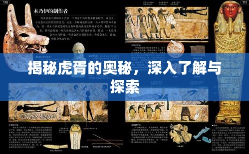 揭秘虎胥的奥秘，深入了解与探索