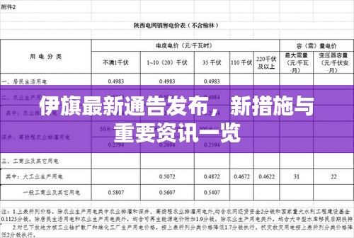 伊旗最新通告发布，新措施与重要资讯一览