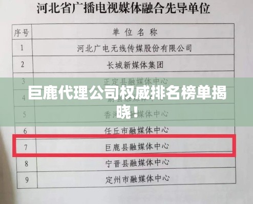巨鹿代理公司权威排名榜单揭晓！