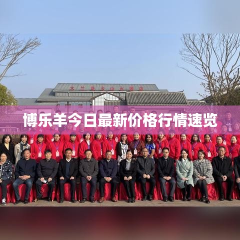 博乐羊今日最新价格行情速览