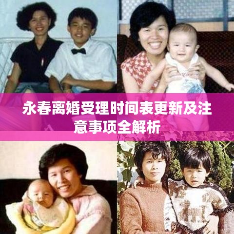 永春离婚受理时间表更新及注意事项全解析