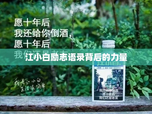 江小白励志语录背后的力量