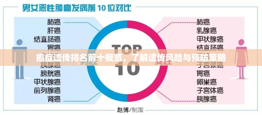 癌症遗传排名前十概览，了解遗传风险与预防策略