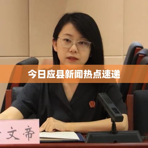 今日应县新闻热点速递