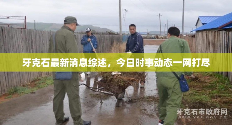 牙克石最新消息综述，今日时事动态一网打尽