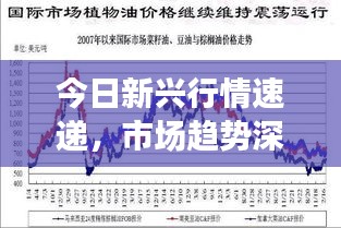 今日新兴行情速递，市场趋势深度解析与行业展望