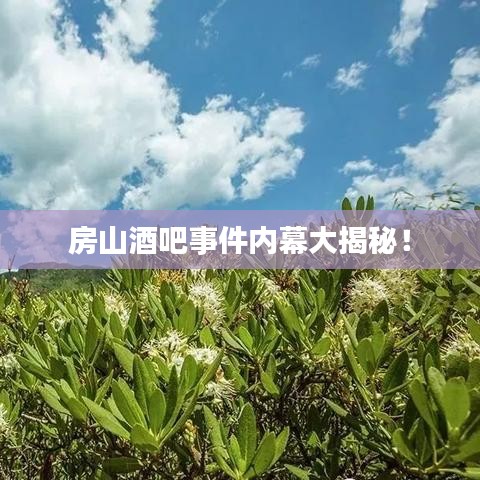 房山酒吧事件内幕大揭秘！