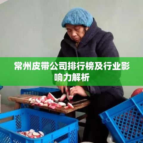 常州皮带公司排行榜及行业影响力解析
