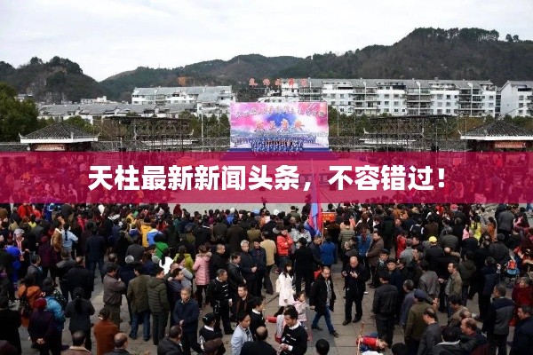 天柱最新新闻头条，不容错过！