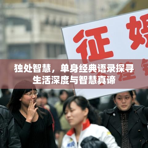 独处智慧，单身经典语录探寻生活深度与智慧真谛