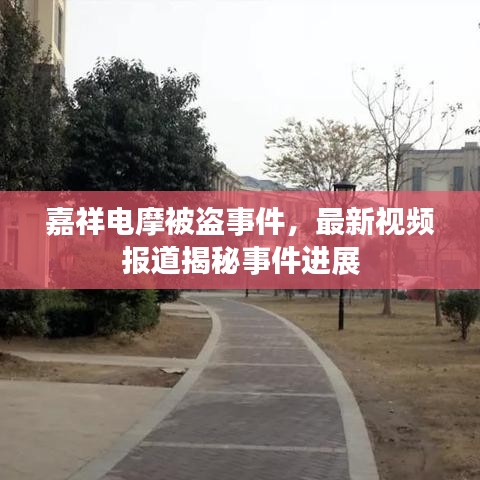嘉祥电摩被盗事件，最新视频报道揭秘事件进展