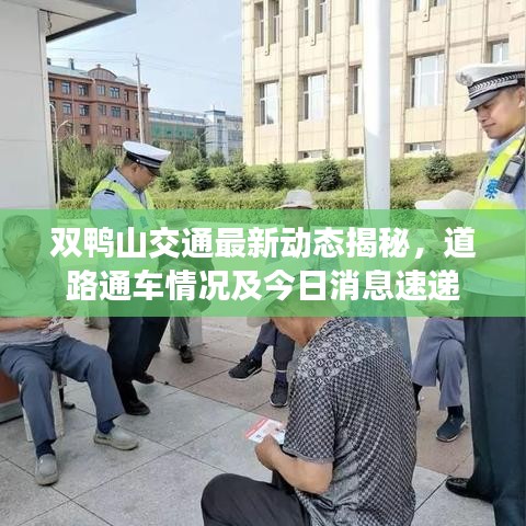 双鸭山交通最新动态揭秘，道路通车情况及今日消息速递