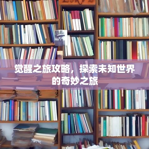 觉醒之旅攻略，探索未知世界的奇妙之旅