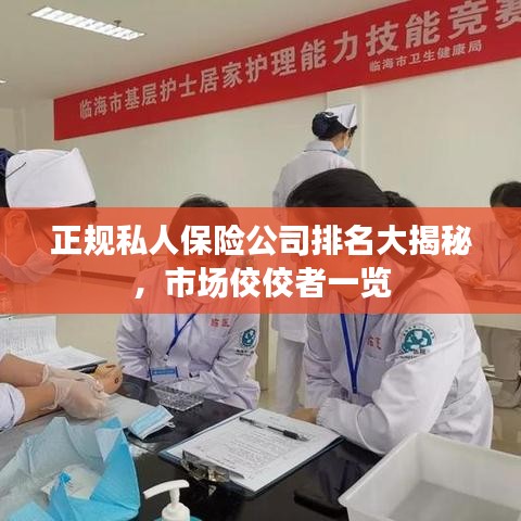 正规私人保险公司排名大揭秘，市场佼佼者一览