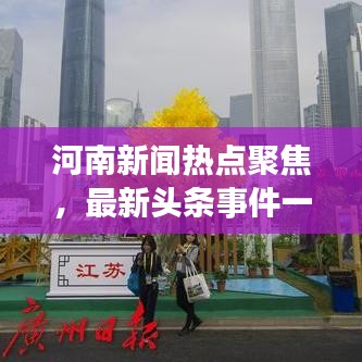 河南新闻热点聚焦，最新头条事件一网打尽