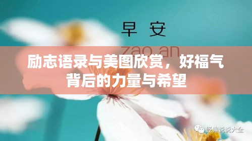 励志语录与美图欣赏，好福气背后的力量与希望