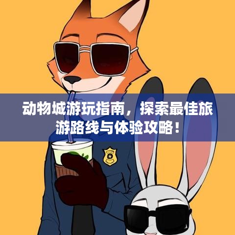 动物城游玩指南，探索最佳旅游路线与体验攻略！