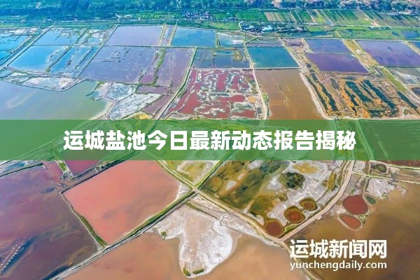 运城盐池今日最新动态报告揭秘