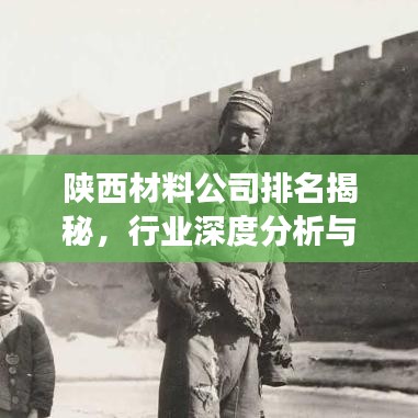 陕西材料公司排名揭秘，行业深度分析与前景展望