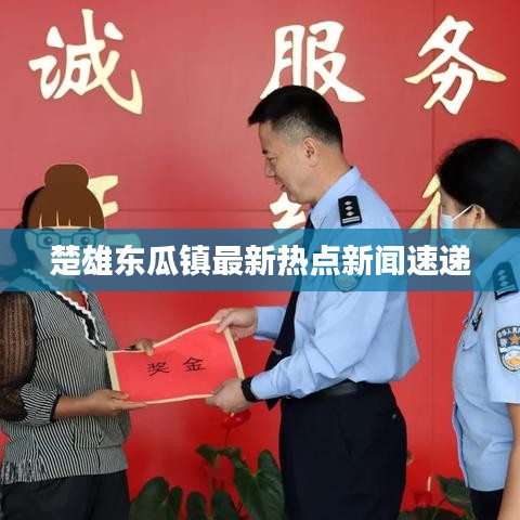 楚雄东瓜镇最新热点新闻速递