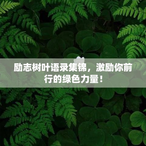 励志树叶语录集锦，激励你前行的绿色力量！