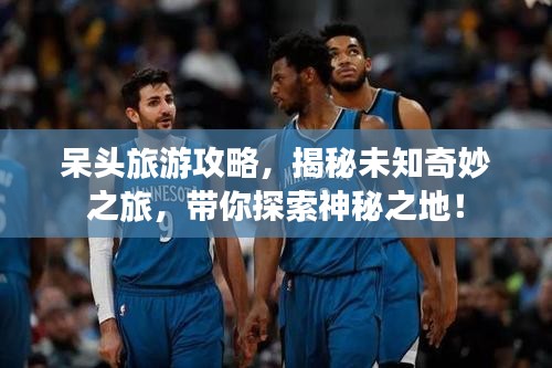 呆头旅游攻略，揭秘未知奇妙之旅，带你探索神秘之地！