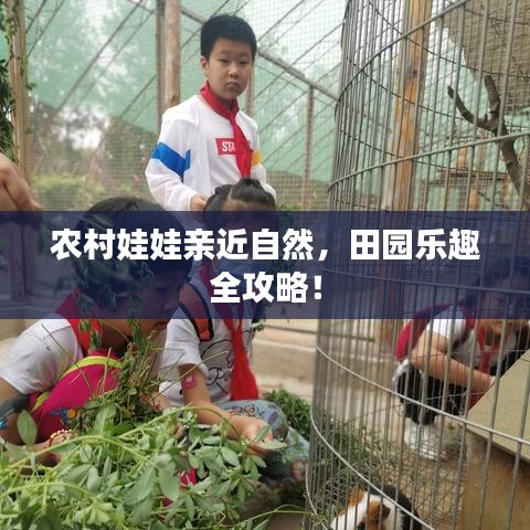 农村娃娃亲近自然，田园乐趣全攻略！