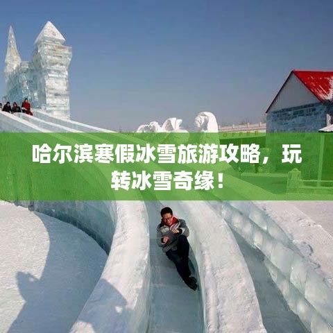 哈尔滨寒假冰雪旅游攻略，玩转冰雪奇缘！