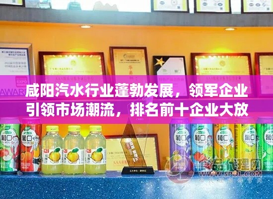 咸阳汽水行业蓬勃发展，领军企业引领市场潮流，排名前十企业大放异彩