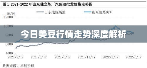 今日美豆行情走势深度解析