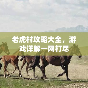 老虎村攻略大全，游戏详解一网打尽