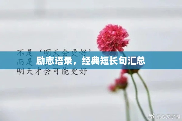 励志语录，经典短长句汇总