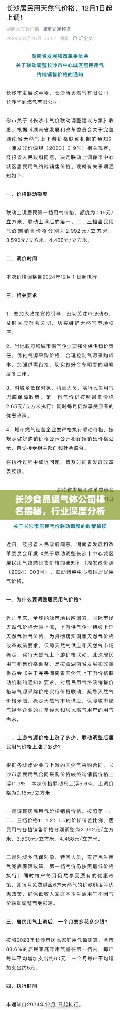 长沙食品级气体公司排名揭秘，行业深度分析！