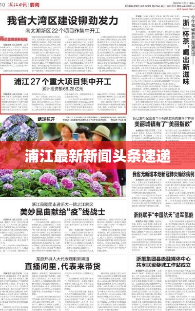 浦江最新新闻头条速递
