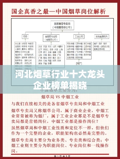 河北烟草行业十大龙头企业榜单揭晓