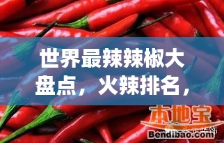 世界最辣辣椒大盘点，火辣排名，你敢挑战吗？