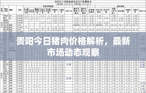 贵阳今日猪肉价格解析，最新市场动态观察
