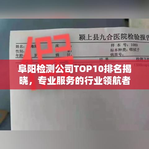 阜阳检测公司TOP10排名揭晓，专业服务的行业领航者