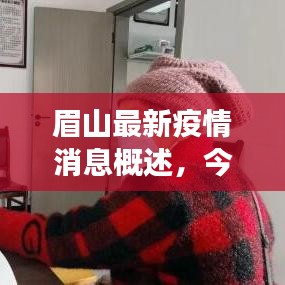 眉山最新疫情消息概述，今日动态及防控进展