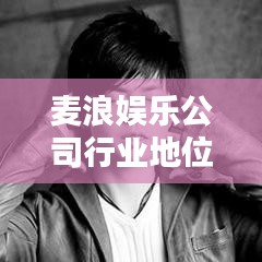 麦浪娱乐公司行业地位及影响力揭秘