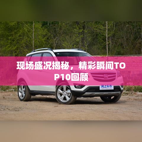 现场盛况揭秘，精彩瞬间TOP10回顾