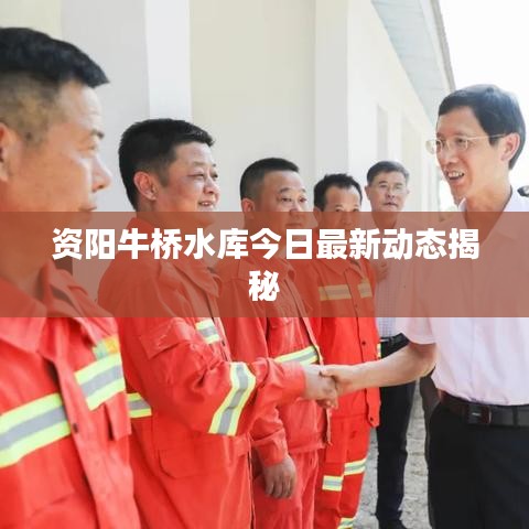 资阳牛桥水库今日最新动态揭秘