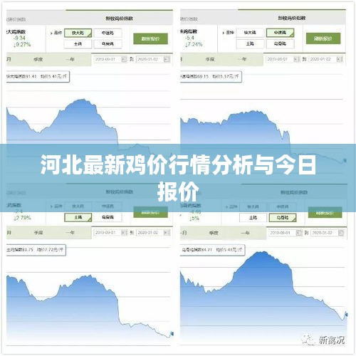 河北最新鸡价行情分析与今日报价