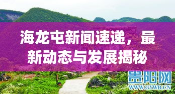 海龙屯新闻速递，最新动态与发展揭秘