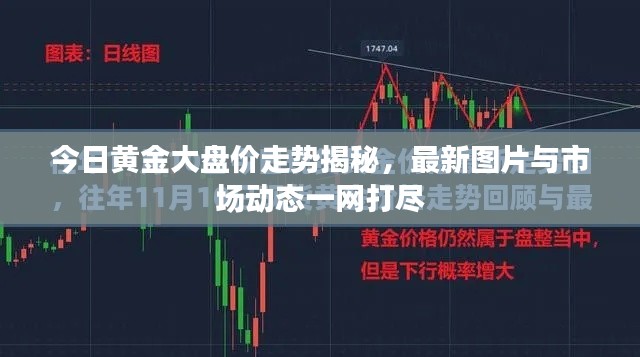 今日黄金大盘价走势揭秘，最新图片与市场动态一网打尽