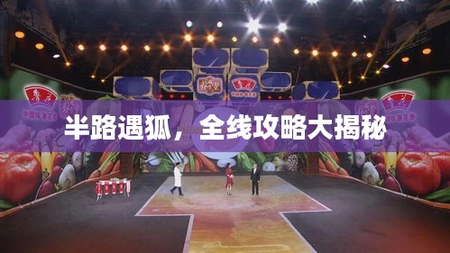 半路遇狐，全线攻略大揭秘